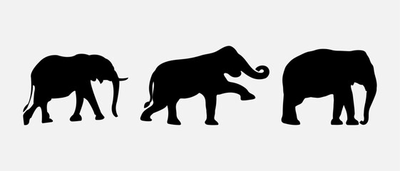 isolated black silhouette of a elephant , vector collection