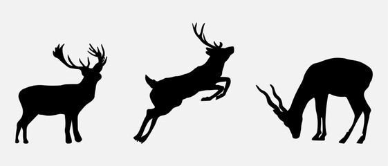 isolated black silhouette of a deer , vector collection