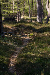 Way of Wernerwald in Cuxhaven Germany