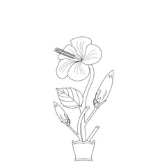 Hibiscus Flower Drawing Coloring Page With Doodle Art Line Art Vector 