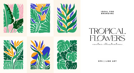 Fototapeta na wymiar Floral abstract elements. Tropical Botanical composition. Modern trendy Matisse minimal style. Floral poster, invite. Vector arrangements for greeting card or invitation design