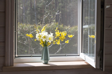 White window with a mosquito net in a rustic wooden house. Spring bouquet of daffodils and forsythia on the windowsill