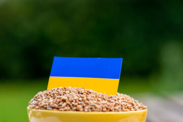 Ukrainian grain export concept. A cup with grains and the flag of ukraine on a green background.