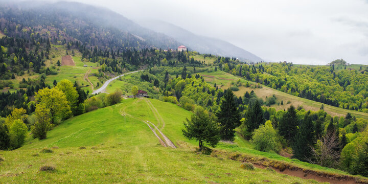 nature scenery with forested hills. view in to the distant valley of carpathian mountains. lush grassy meadows. cloudy sky