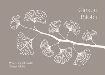 Floral hand drawn background. Botanical line art wallpaper with flowers. Hand drawn white Silhouette of ginkgo biloba tree isolated on white, texture for banner, prints, wall art and home decor