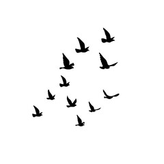 Naklejka na ściany i meble Flying birds silhouettes vector
