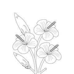Hibiscus Flower Drawing Coloring Page With Doodle Art Line Art Vector On White Background