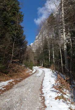 Along a trail in valle delle seghe