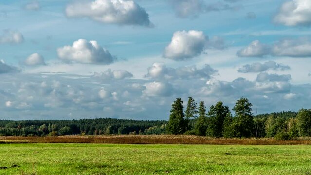 Forests, fields and meadows of Podlasie.