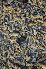 KRL Commuter Line is an electric rail-based commuter rapid transit system operated by PT Kereta Commuter Indonesia, a subsidiary of PT Kereta Api Indonesia.