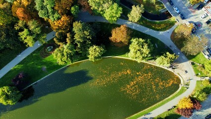 Qater pond in the park in Kielce
