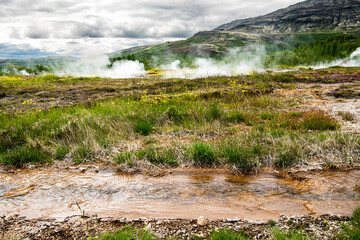 okolica gejzer Geysir na Islandii parujące źródła