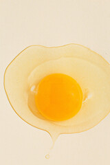 Raw egg