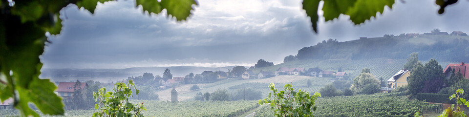 Universal Linkedin banner with view of vineyards on slopes of the mountains