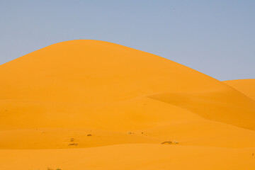 The magic of Sahara