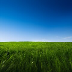 Obraz na płótnie Canvas green grass and blue sky, Generative AI