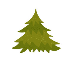 Fir Tree Icon