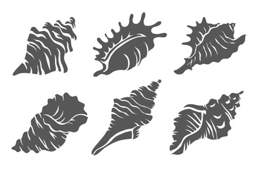 Snail sea shell. Set of black silhouettes. Marine underwater twisted seashell. Spiral shape. Undersea mollusc. Animal and wildlife. Blue silhouette. Vector illustration isolated on white background