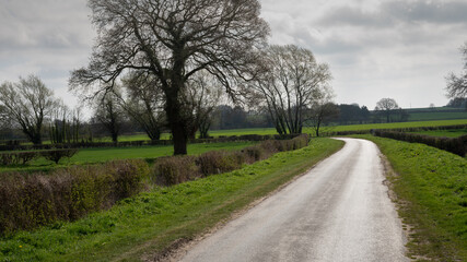 Fototapeta na wymiar A Rural Landscape of Natures Way Forward Yorkshire.