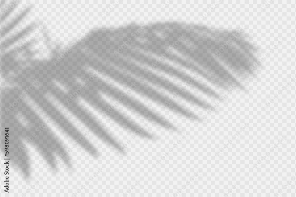 Poster shadow overlay of palm tree branch. transparent overlay shadow effect from tropical palm leaves. rea