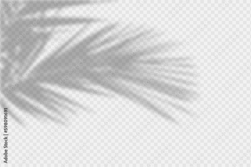 Fototapete Shadow overlay of palm tree branch. Transparent overlay shadow effect from tropical palm leaves. Realistic soft light effect of shadows and natural light on transparent background. Vector.