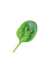 Spinach leaves isolate on white background. Selective focus.
