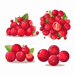 Set of Cranberry vector illustrations with different compositions