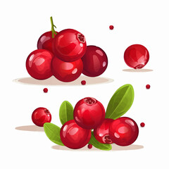 Vector illustrations of Cranberries with gradient backgrounds