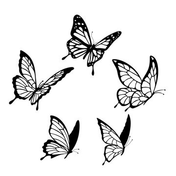 black butterflies. Set of drawn flying butterflies. Summer insects.