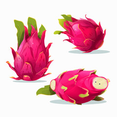 Vector illustrations of dragon fruit with a flat, graphic style.