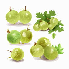A set of colorful gooseberry icons for use in web or app designs