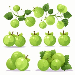 A pack of vintage-style gooseberry illustrations for use in print designs