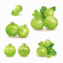 A pack of hand-drawn gooseberry illustrations with a sketchy, artistic style