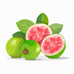 Vector illustrations of ripe Guava fruit for your designs