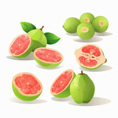 Vector illustrations of Guava fruit with a modern twist