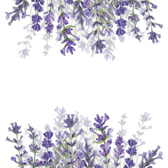 Square frame with lavender and a place for the text. Watercolor illustration of Provencal flowers. French style. Aromatherapy. Botanical illustration of flowers. Suitable for postcards, packages.