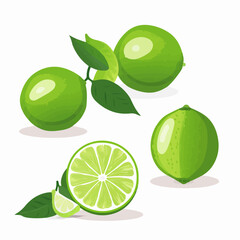 A collection of Lime vector graphics with a variety of angles and perspectives