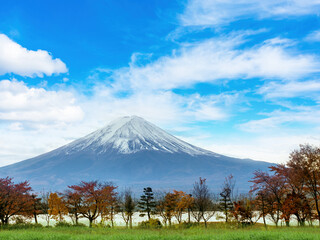 Japan scenery. Mount Fuji. Lake Kawaguchiko. Mount Fujiyama on autumn day. Japan in sunny weather. Trees on lake. Landscape with mount Fuji. Fujiyama with snowy peak. Region of Japan