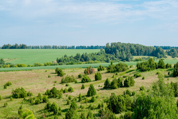 Fototapeta na wymiar Rural landscape of Tatarstan. Green hills with trees and meadows, top view