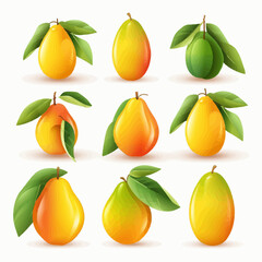 Obraz premium Mango vector illustration with a rustic and natural design