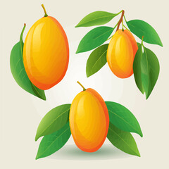 Set of mango vector graphics with a pastel color scheme