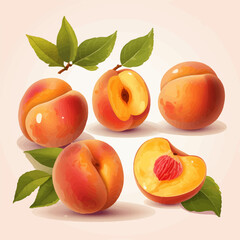 Create a summer-inspired design with this pack of peach vector graphics.