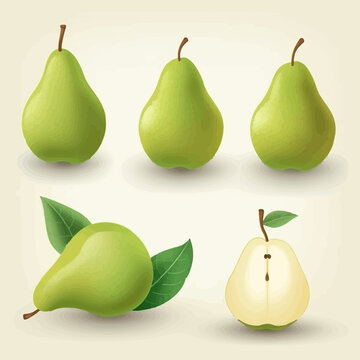 Vector illustrations of pears that will add a touch of natural beauty to your designs.