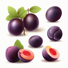 Set of vector illustrations showcasing the smooth texture of plums.