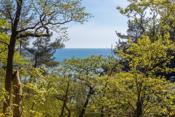 Attractive summer seascape Conceptual background 