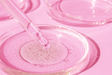 Dropping gel from a pipette into a Petri dish on a pink background. Cosmetics Lab. Serum, gel, retinol, oil.