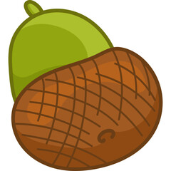 Acorn Seed