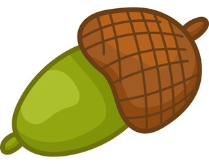 Acorn Seed