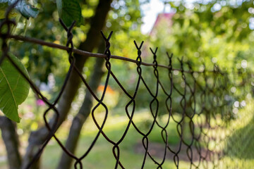 
Wire fence on the garden with trees - 598109039