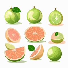 Vector illustrations of pomelo perfect for food-related projects.